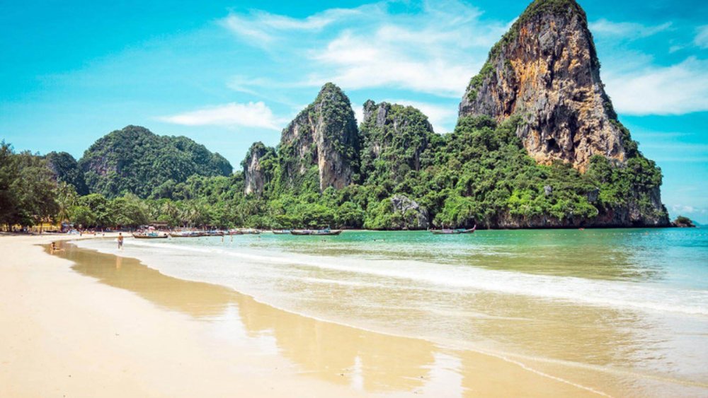 Туристів у Таїланді попередили про напади отруйних медуз (ФОТО)