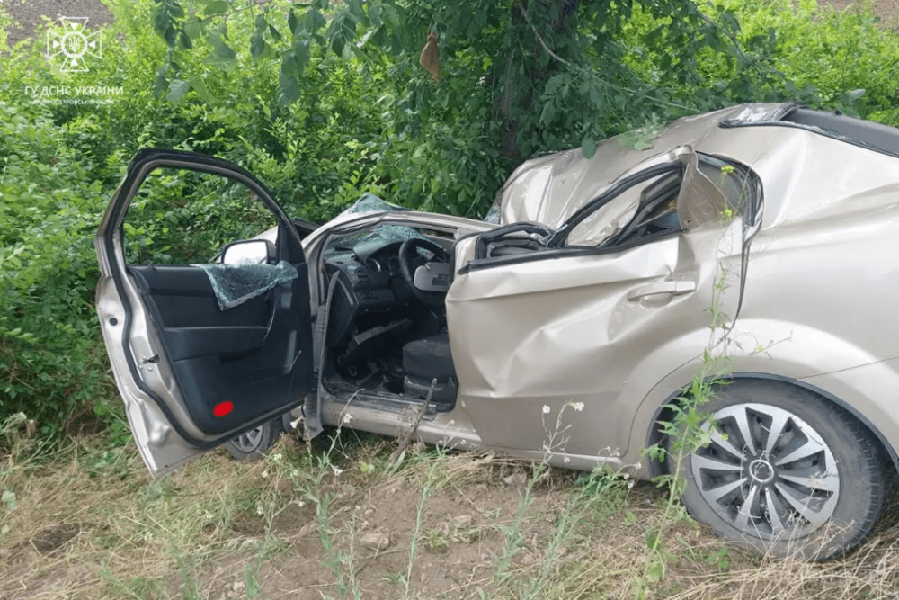 У Дніпропетровській області легковик влетів у дерево: постраждало двоє людей (ФОТО)