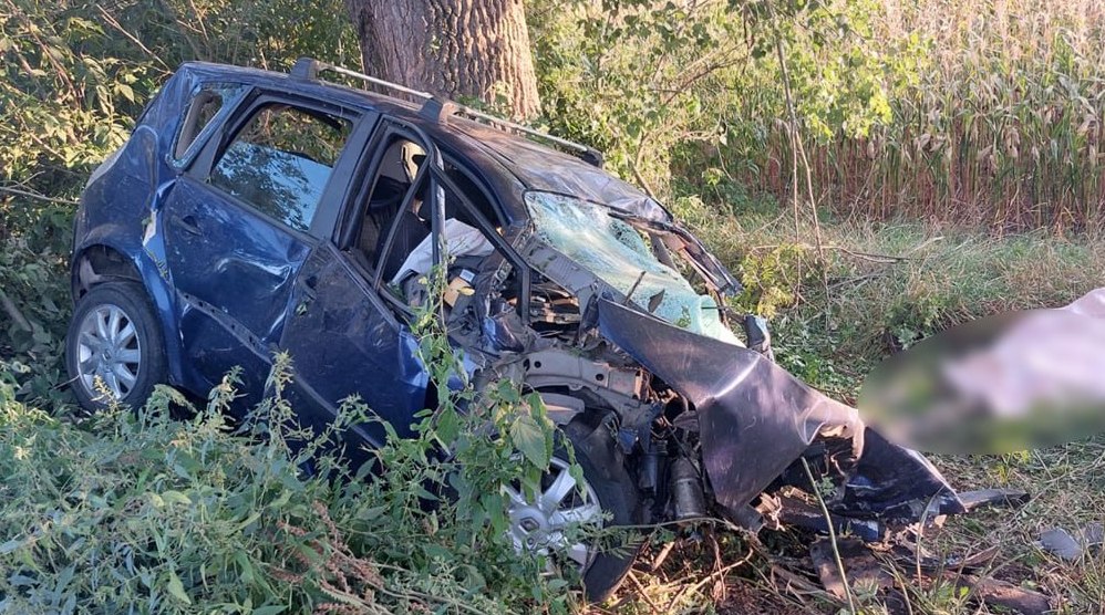 На Черкащині легковик вилетів з дороги точнісінько у дерево, водій не вижив (ФОТО)