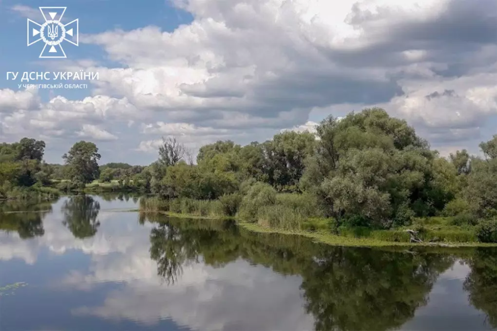 На Чернігівщині у сільському ставку трагічно загинув 19-річний юнак