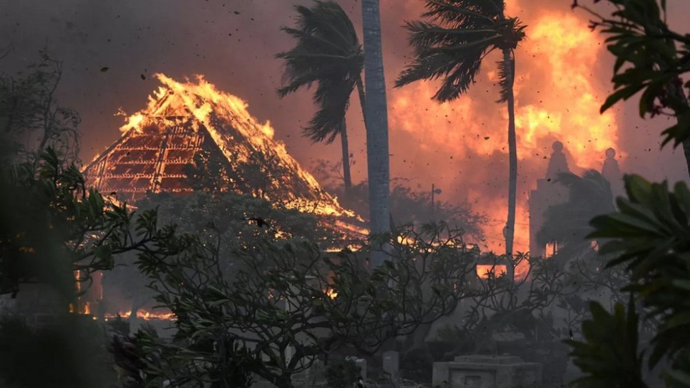 Пекло у раю: Столиця Гавайських островів знищена лісовими пожежами (ВІДЕО)