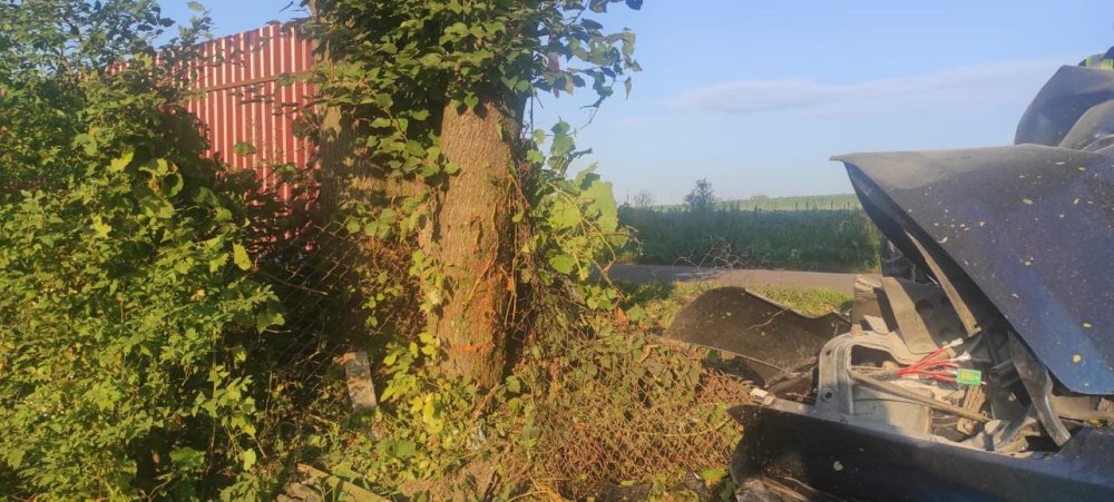 На Львівщині легковик влетів у дерево на шаленій швидкості (ФОТО)