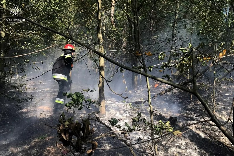 На Тернопільщині внаслідок лісової пожежі трагічно загинула жінка (ФОТО)