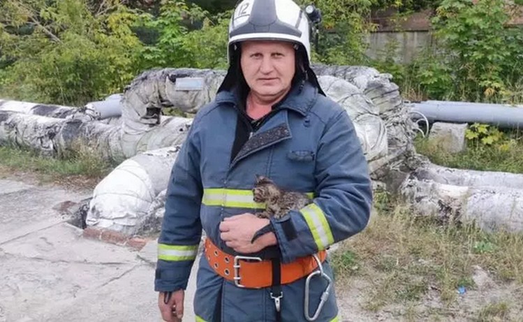 На Рівненщині бійці ДСНС врятували крихітне кошеня з каналізаційної ями (ФОТО)