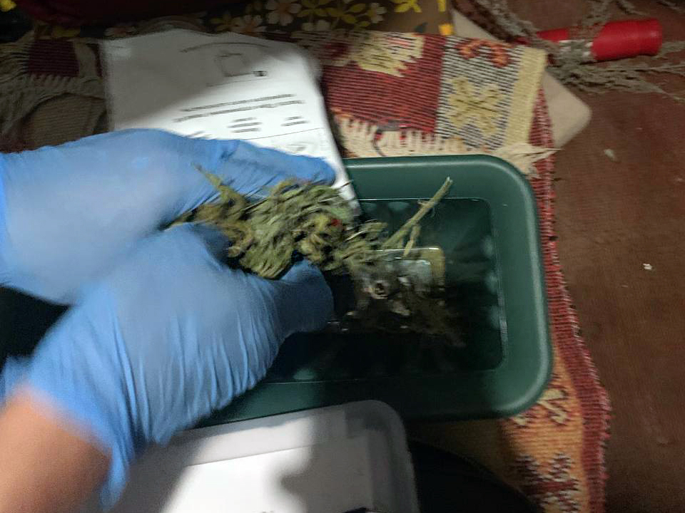 У Рівному поліцейські викрили наркотеплицю у підвалі багатоповерхівки (ФОТО)
