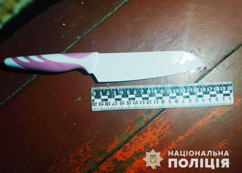 У Козятині засуджено чоловіка, який на очах дитини, мало не зарізав співмешканку (ФОТО,)
