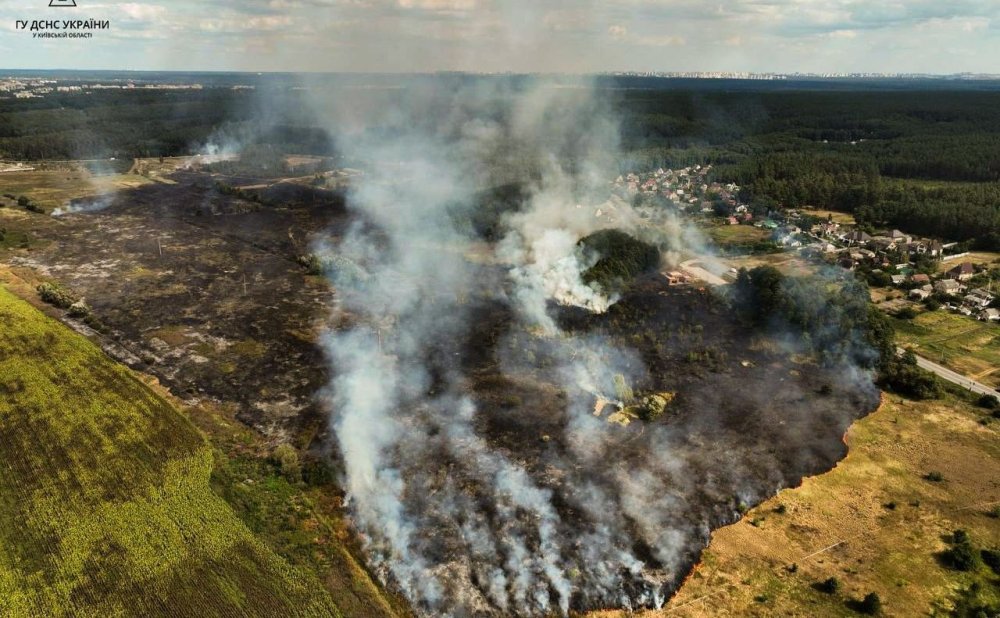 Рятувальники ліквідували загоряння п’яти гектарів трави у екосистемах Київщини (ВІДЕО)