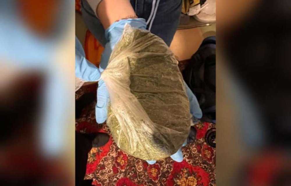 У жителя Кам’янського вдома знайшли кілограм марихуани (ФОТО)