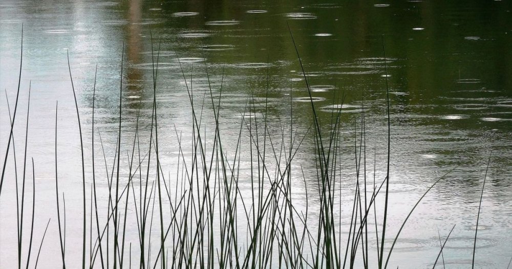 У селі на Вінниччині рятувальники дістали з водойми тіло літньої людини