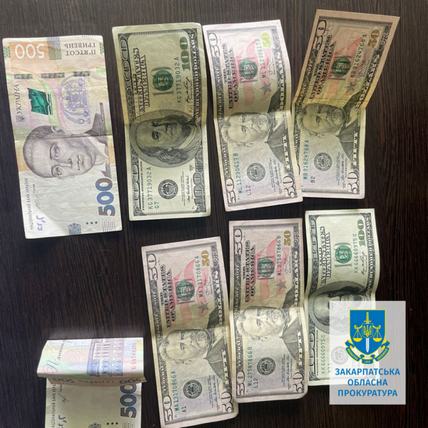 В Ужгороді завідувача пологового будинку судитимуть за хабарництво (ФОТО)