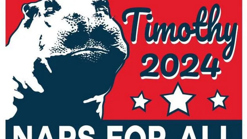 У США вдруге висунули кандидатом у президенти бегемота Тімоті