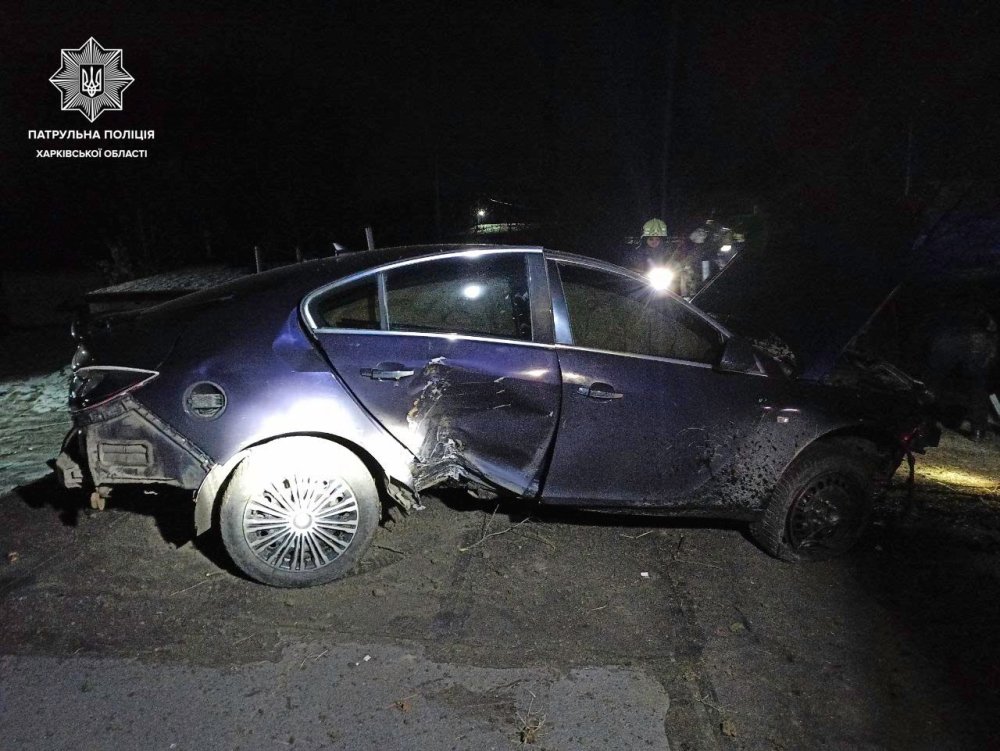 У Харкові п'яний водій втікав від поліцейських та вилетів на дах гаража (ФОТО)