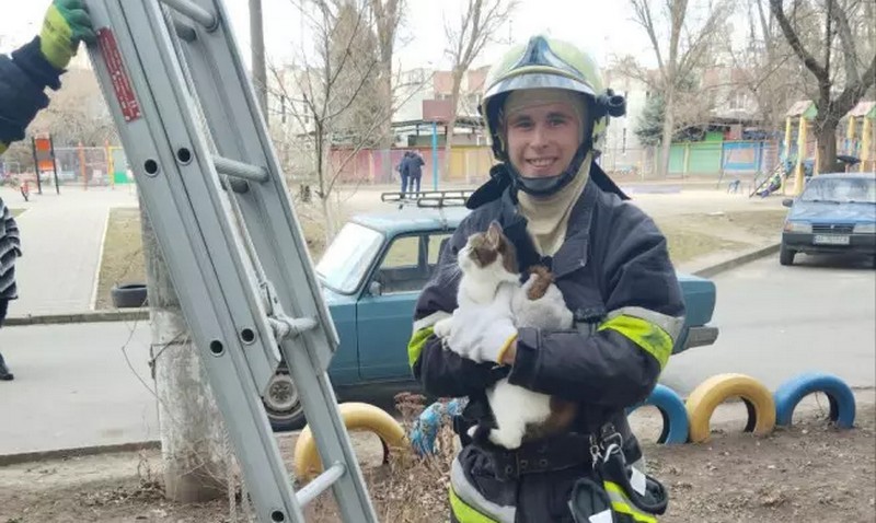 У Запоріжжі рятувальники зняли з дерева переляканого кота-верхолаза (ФОТО)