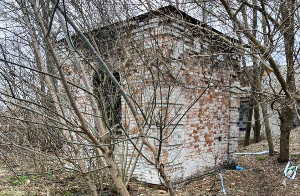Під Києвом чоловік вбив жінку та спалив її тіло