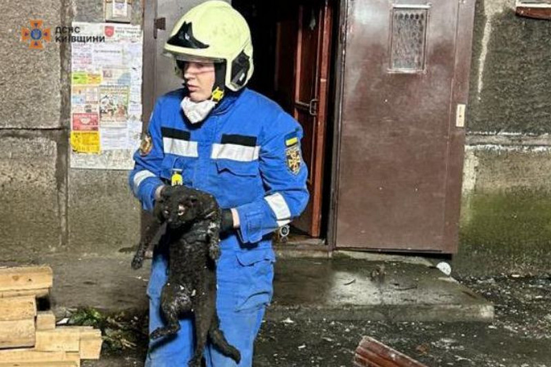 Вибух в квартирі в Білій Церкві: рятувальники повідомили нові деталі (ФОТО)