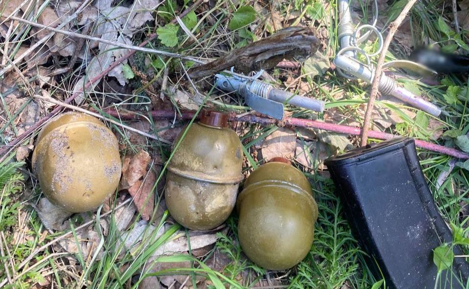 У лісі Голосіївського району знайшли пакет з гранатами