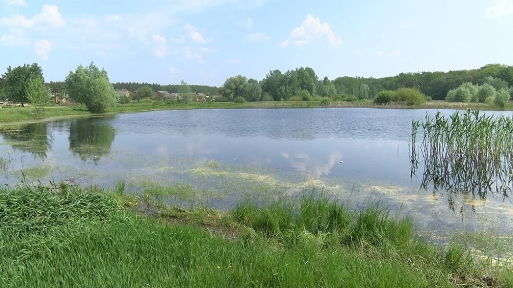 На Полтавщині знайдено тіло зниклої безвісти літньої жінки