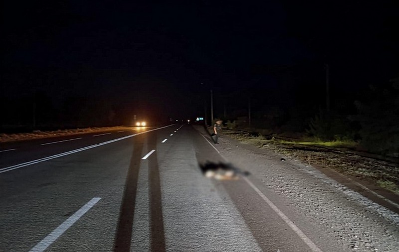 Водій-втікач збив військовослужбовця та залишив помирати на узбіччі
