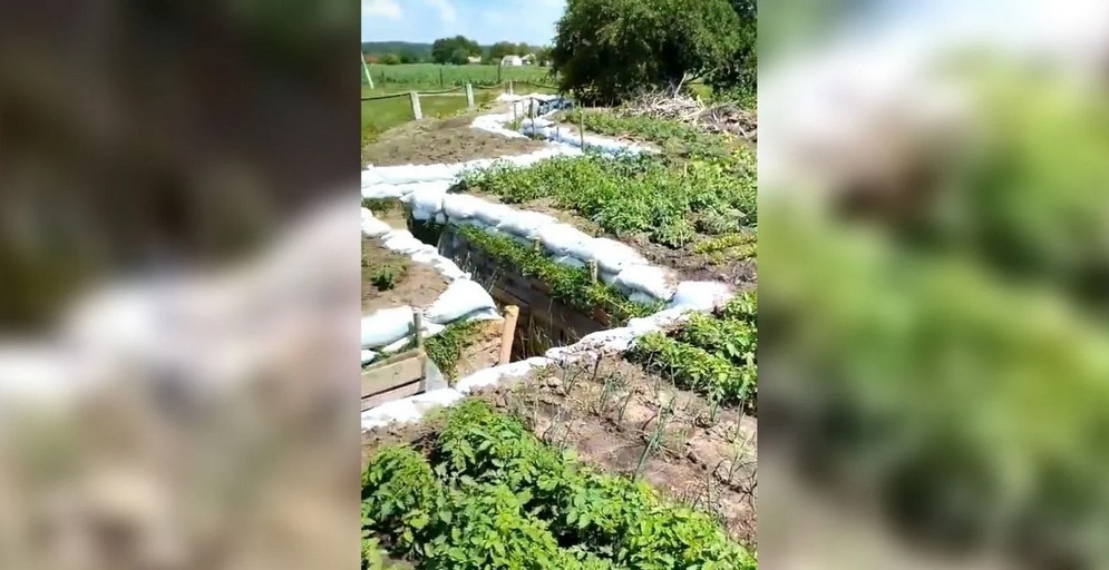Українські захисники на своїх позиціях вирощують овочі (ВІДЕО)