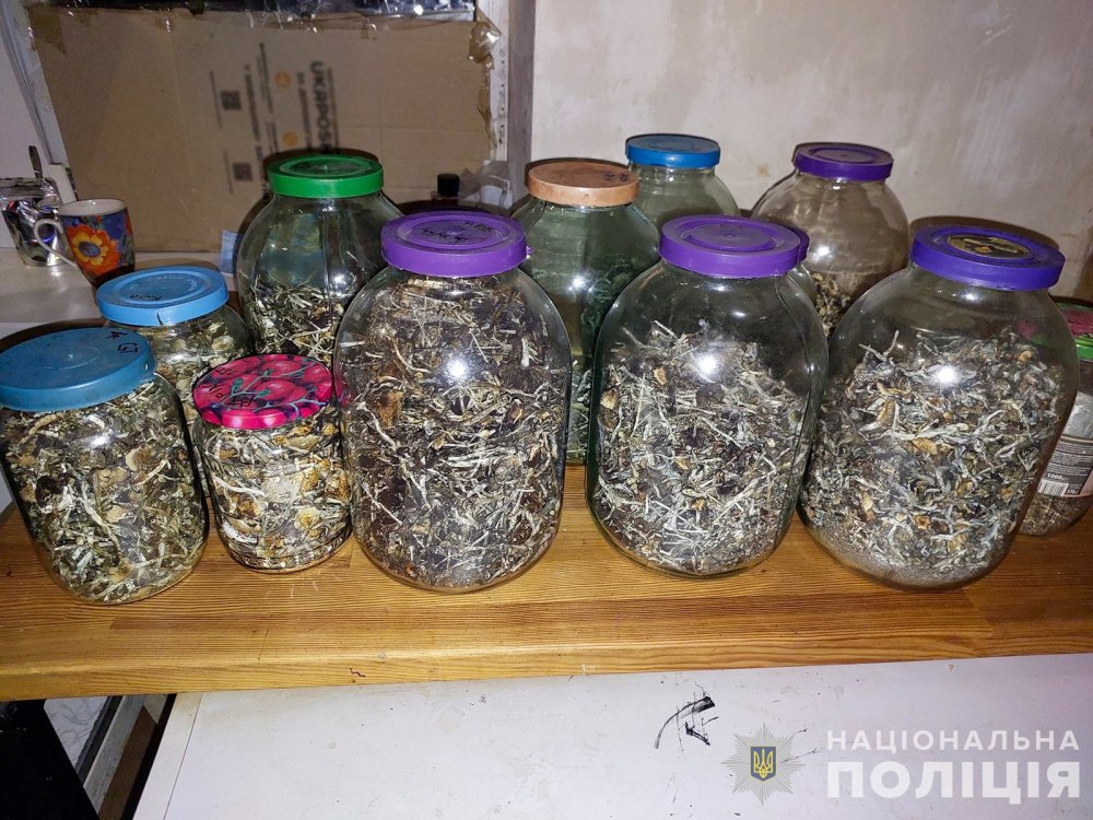 На Запоріжжі поліція викрила злочинну групу, яка вирощувала та збувала галюціногенні гриби (ФОТО)