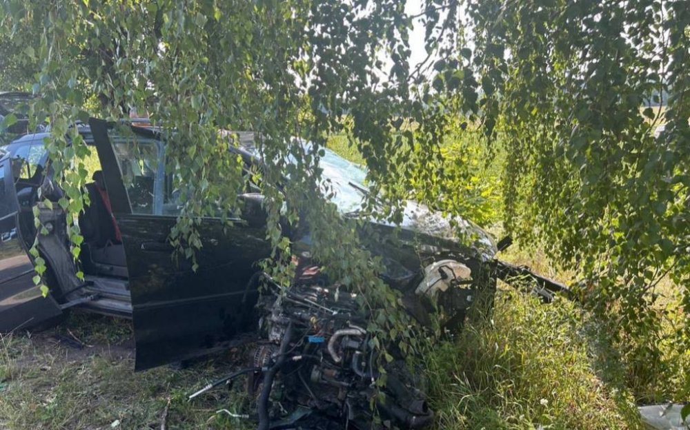 Внаслідок ДТП на Київщині загинули чоловік і дружина та постраждав іх неповнолітній син (ФОТО)