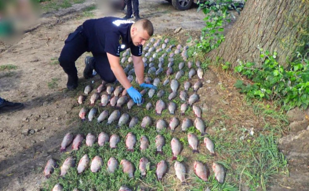 Під Яготином два друга наловили риби на 2,5 млн гривень (ФОТО)