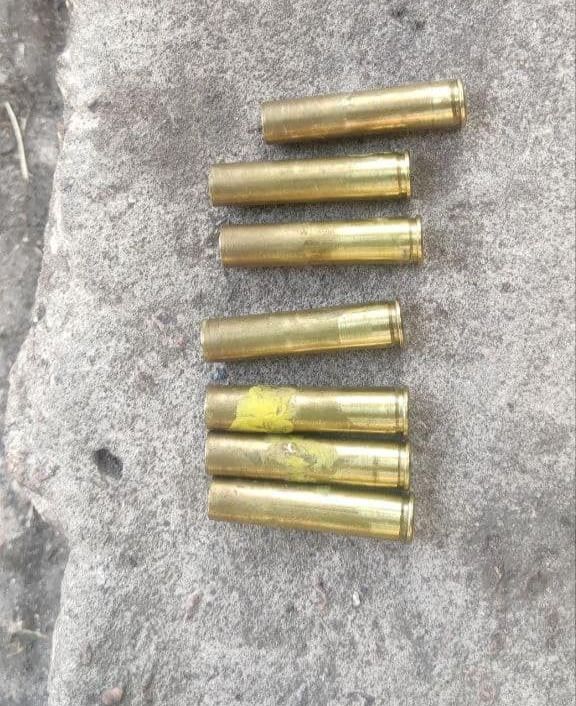 На дитячому майданчику у Києві жінка натрапила на пістолет з набоями (ФОТО)