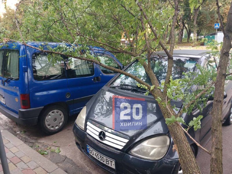 У Тернополі дерева виривало з корінням та розбили авто (ФОТО)