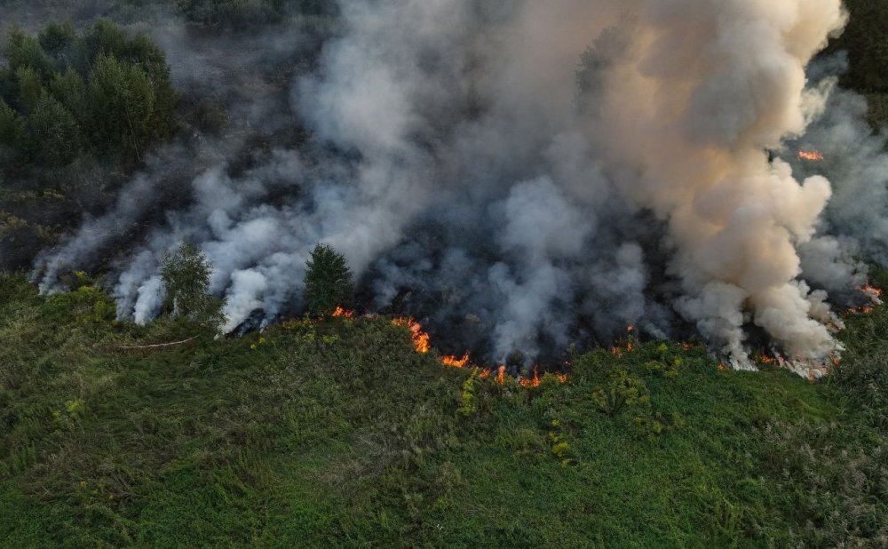 Масштабна пожежа у Києві: на околиці міста другий день горить трава (ВІДЕО)