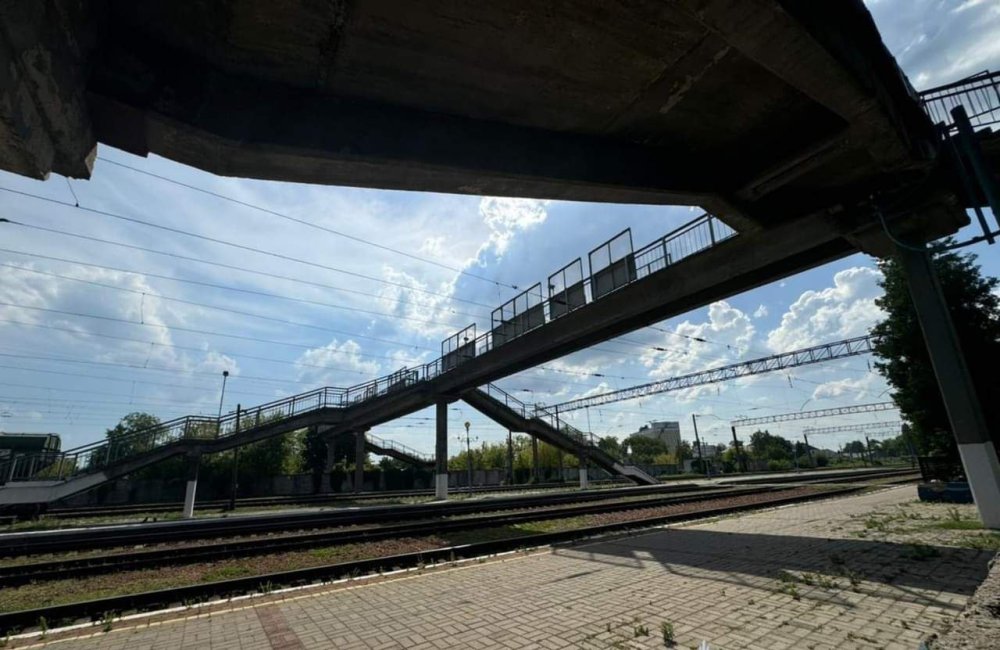 На Київщині поліція допитує пенсіонерку-живодерку, яка скинула собаку з пішохідного мосту (ФОТО)