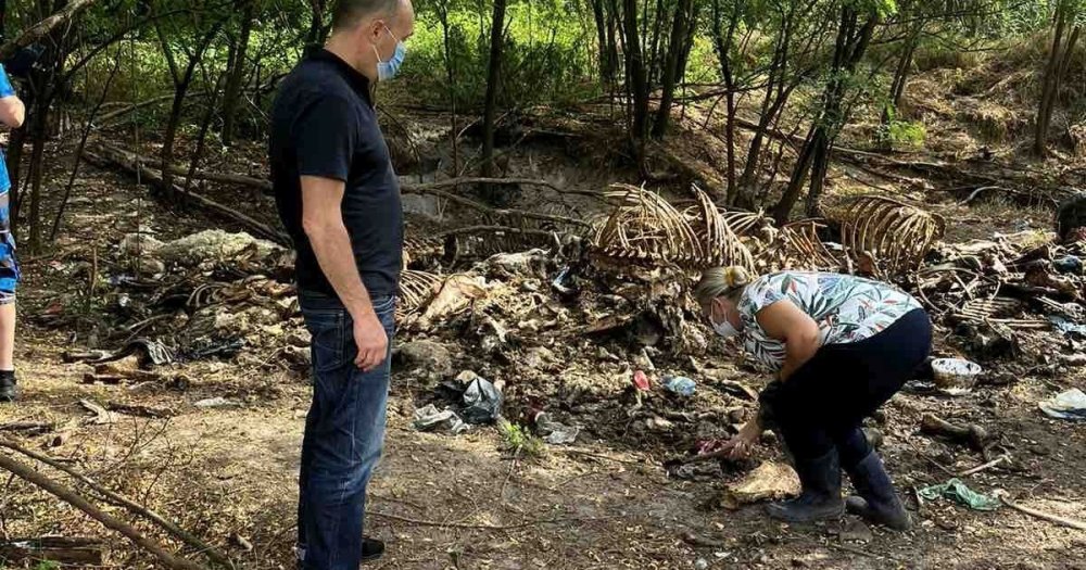 На Львівщині невідомі викинули рештки тварин у лісі: поліція береться за рослідування