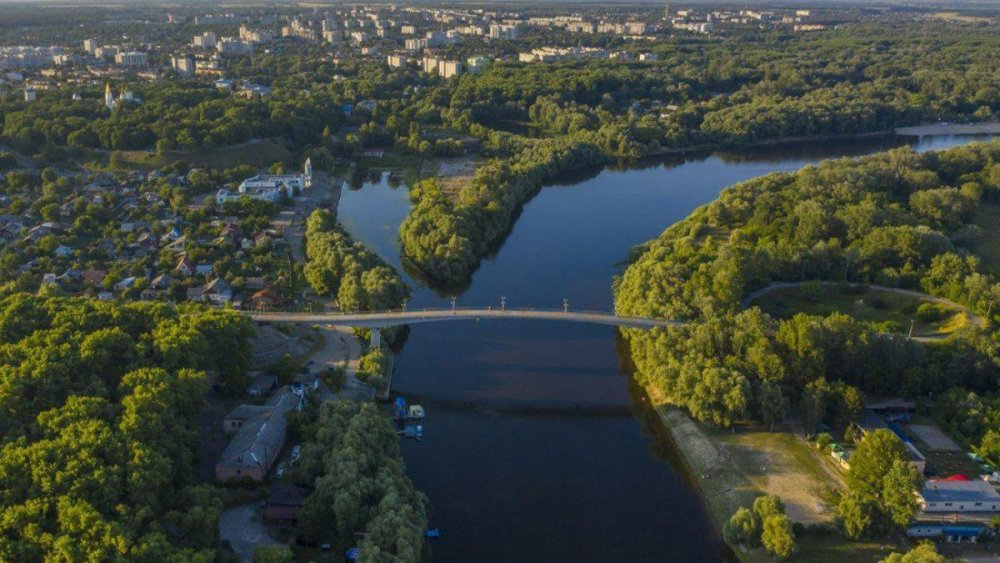 Десна біля Чернігова потемніла, фіксується масовий замор риби