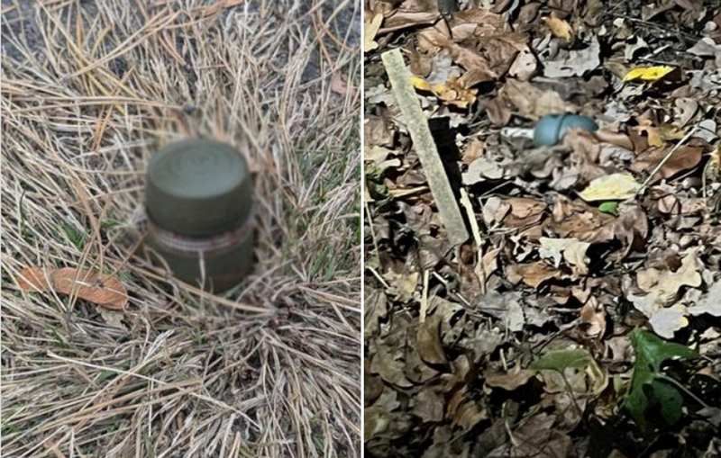 У Києві чоловік виявив гранату в лісосмузі (ФОТО)