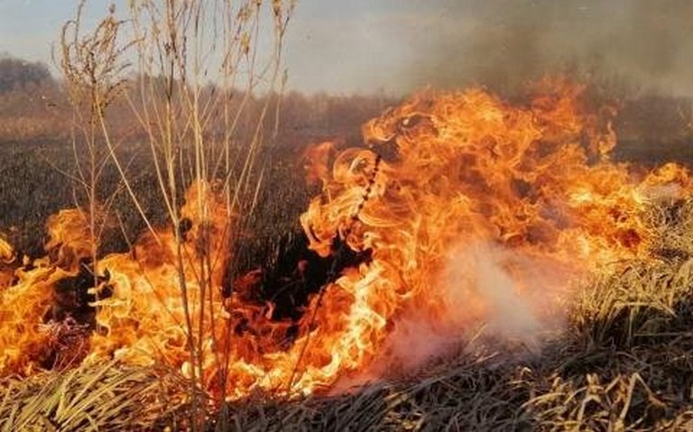 На Тернопільщині мало не загинув чоловік, який намагався спалити сміття