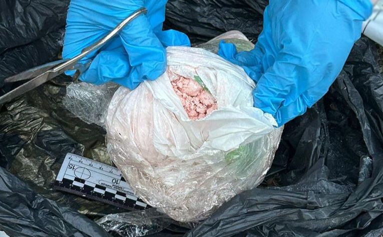 У Києві судитимуть жінку, у якої вилучили наркотиків на понад мільйон гривень (ФОТО)