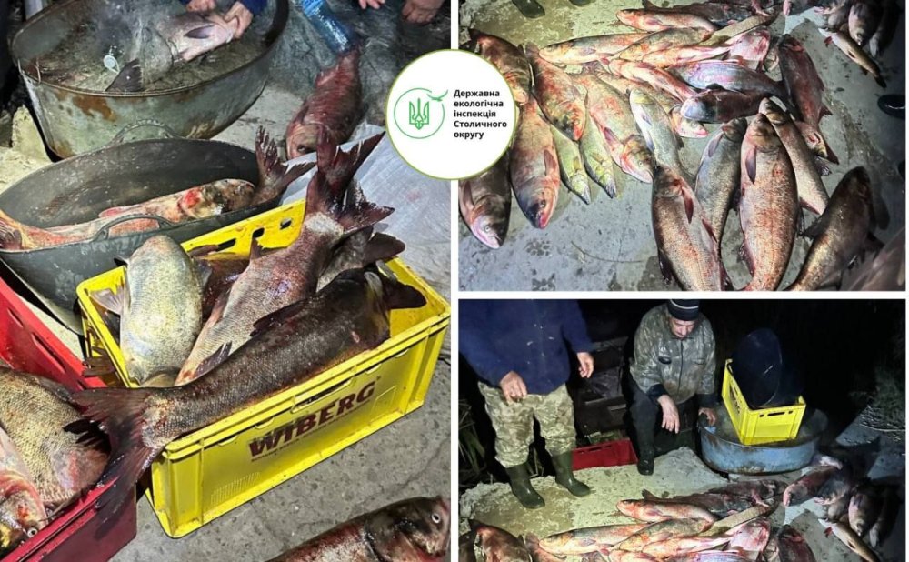 На Київщині спіймали браконьєра, який наловив риби на понад 140 тисяч гривень