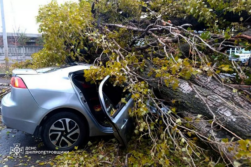У Нікополі дерево впало на автомобіль та вбило його водія (ФОТО)