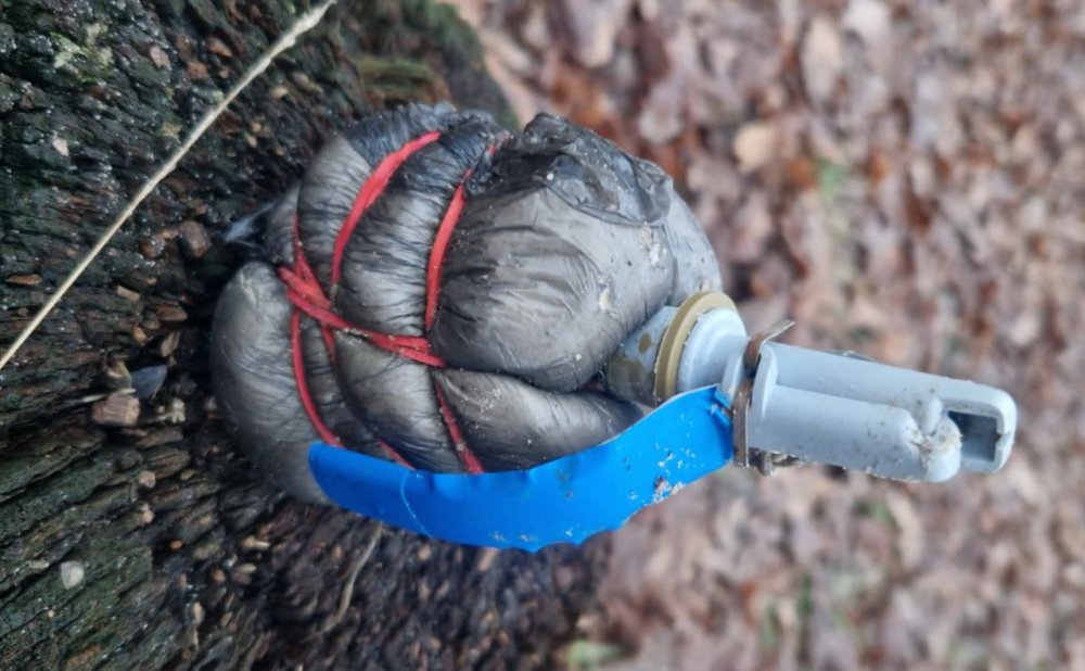У Києві чоловік виявив гранату під час прогулянки