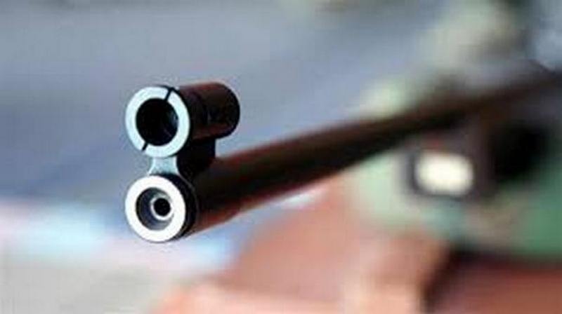 На Полтавщині жінка застрелила сусідського кота