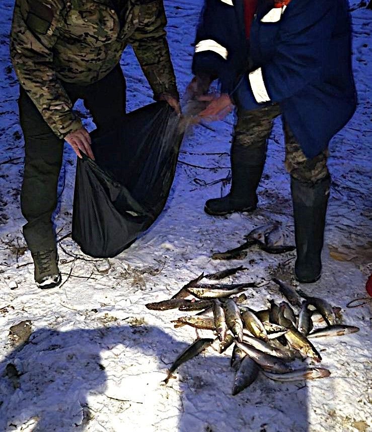 На Київщині чоловік наловив судаків на 170 тисяч гривень (ФОТО)