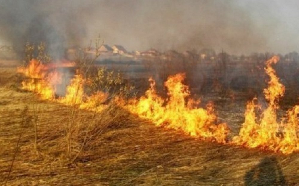 У Львівському районі під час пожежі сухостою загинув чоловік