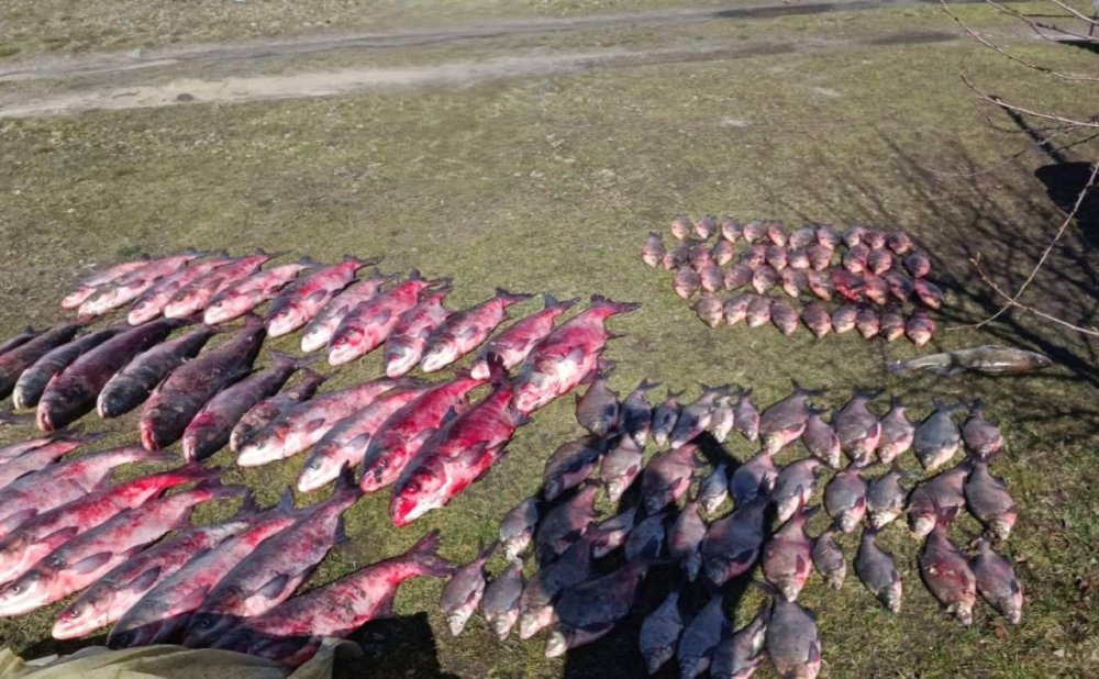 На Київщині браконьєр наловив риби та раків на 900 тисяч гривень (ФОТО)