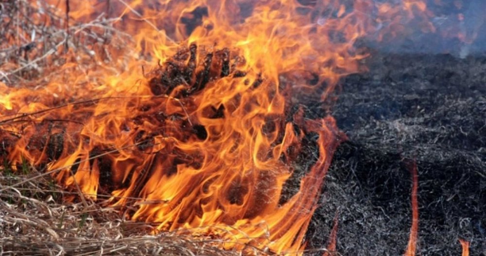 На Житомирщині під час гасіння сухостою вогнеборці виявили тіло чоловіка