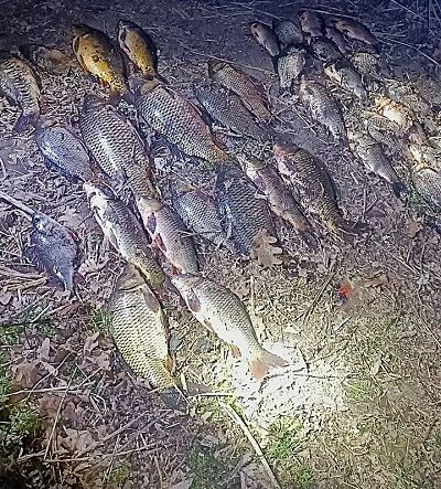 На Київщині браконьєр наловив риби на понад 100 тисяч гривень (ФОТО)