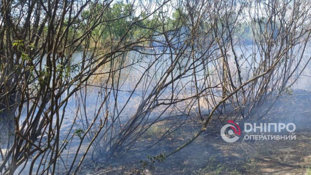 Вогонь охопив половину пляжу: у Дніпрі діти підпалили очерет (ВІДЕО)