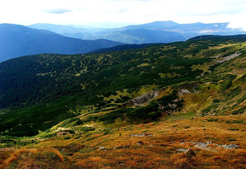 Прикордонники біля підніжжя гори Піп Іван виявили труп людини (ФОТО)
