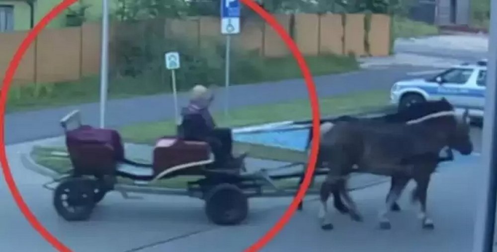 У Польщі п'яний чоловік приїхав до поліції на коні, бо йому заборонили водити авто