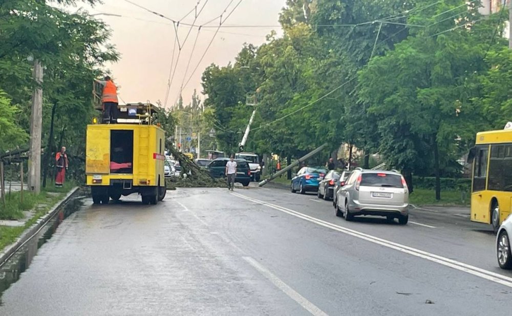 Попадали дерева й заблокували рух: у Києві ліквідовують наслідки вчорашньої негоди (ФОТО)
