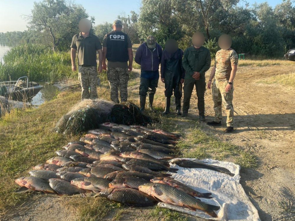 Півсотні коропів і сомів на майже 200 тисяч гривень: на Одещині затримали браконьєрів (ФОТО)