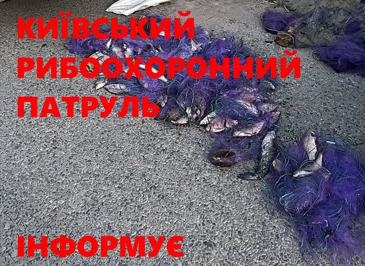На Київщині браконьєр у комендантську годину наловив риби на майже 170 тисяч гривень (ФОТО)